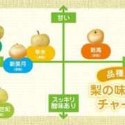 ヒメ日記 2026/09/06 13:59 投稿 なつ 素人妻御奉仕倶楽部Hip's松戸店