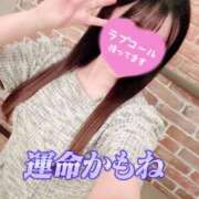 大谷まりか [お題]from:二人で競馬場行きたいさん 三丁目の奥様（東京ハレ系）