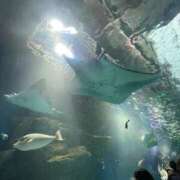 ヒメ日記 2025/11/05 21:13 投稿 みみ 完全密室 無抵抗