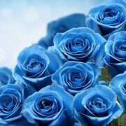 ヒメ日記 2025/10/11 06:41 投稿 みか ピンクコレクション大阪