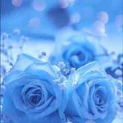 ヒメ日記 2025/11/07 00:21 投稿 みか ピンクコレクション大阪