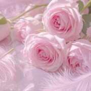 ヒメ日記 2025/11/26 21:30 投稿 みか ピンクコレクション大阪