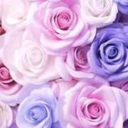 ヒメ日記 2025/12/02 23:33 投稿 みか ピンクコレクション大阪