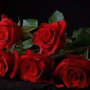 ヒメ日記 2026/01/07 03:01 投稿 みか ピンクコレクション大阪