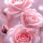 ヒメ日記 2026/01/27 18:24 投稿 みか ピンクコレクション大阪