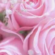 ヒメ日記 2026/02/08 23:51 投稿 みか ピンクコレクション大阪