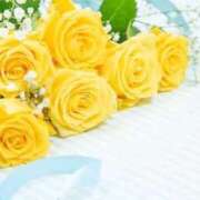 ヒメ日記 2026/02/09 17:36 投稿 みか ピンクコレクション大阪