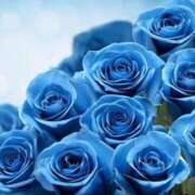 ヒメ日記 2025/10/11 06:39 投稿 みか ピンクコレクション大阪キタ店