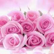 ヒメ日記 2025/10/17 02:59 投稿 みか ピンクコレクション大阪キタ店