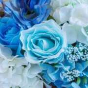 ヒメ日記 2025/10/20 02:26 投稿 みか ピンクコレクション大阪キタ店