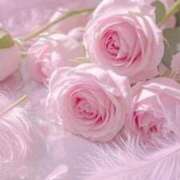 ヒメ日記 2025/11/26 21:29 投稿 みか ピンクコレクション大阪キタ店