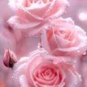 ヒメ日記 2026/01/27 18:32 投稿 みか ピンクコレクション大阪キタ店