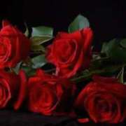 ヒメ日記 2025/10/25 03:12 投稿 みか ピンクコレクション尼崎店