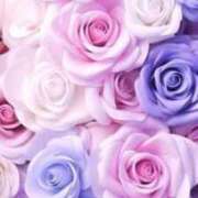 ヒメ日記 2025/12/03 01:52 投稿 みか ピンクコレクション尼崎店