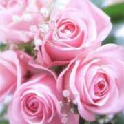 ヒメ日記 2026/01/09 03:52 投稿 みか ピンクコレクション尼崎店