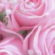 ヒメ日記 2026/02/08 18:15 投稿 みか ピンクコレクション尼崎店