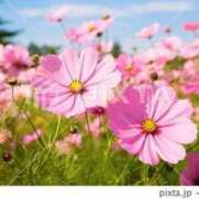 ヒメ日記 2025/10/23 08:52 投稿 るり 待ちナビ