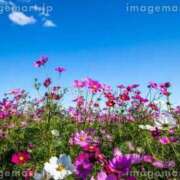 ヒメ日記 2025/10/23 11:15 投稿 るり 待ちナビ