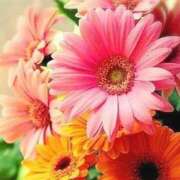 ヒメ日記 2025/11/07 21:05 投稿 るり 待ちナビ