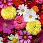 ヒメ日記 2025/11/09 21:35 投稿 るり 待ちナビ