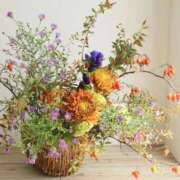 ヒメ日記 2025/12/12 10:02 投稿 るり 待ちナビ