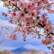 ヒメ日記 2026/04/02 09:05 投稿 るり 待ちナビ