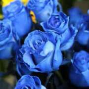 ヒメ日記 2026/04/02 13:45 投稿 るり 待ちナビ