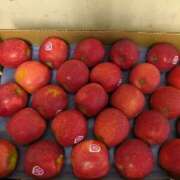 ヒメ日記 2025/10/06 13:48 投稿 岩瀬 名古屋デッドボール