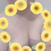 ヒメ日記 2025/10/11 19:21 投稿 岩瀬 名古屋デッドボール