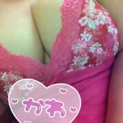 ヒメ日記 2025/10/19 17:28 投稿 岩瀬 名古屋デッドボール