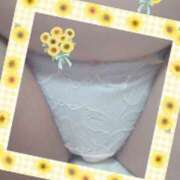 ヒメ日記 2025/11/24 13:16 投稿 岩瀬 名古屋デッドボール