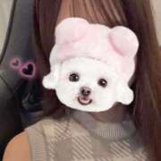 ヒメ日記 2025/10/03 18:19 投稿 こはる★SSS級×未経験美少女 S級素人清楚系デリヘル chloe