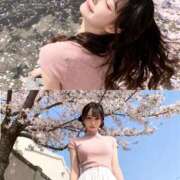 ヒメ日記 2026/03/13 12:26 投稿 空詩　おと ピンクダイア