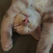 ヒメ日記 2025/10/22 09:07 投稿 麻生乃愛 プレジデントハウス