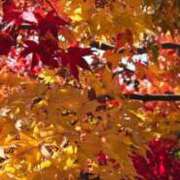 麻生乃愛 おはようございます プレジデントハウス