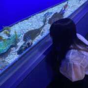 ヒメ日記 2026/09/08 01:16 投稿 ぱるむ バカンス学園　谷九校