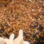 ヒメ日記 2025/11/12 19:30 投稿 梓紗-Azusa- 姉新地