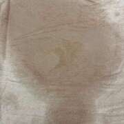 ヒメ日記 2025/10/23 13:25 投稿 このみ 新宿本店 ぽちゃカワ女子専門店