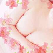 このみ 今日も！ 新宿本店 ぽちゃカワ女子専門店