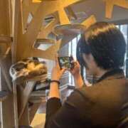 ヒメ日記 2025/10/20 04:08 投稿 せな パイレーツ