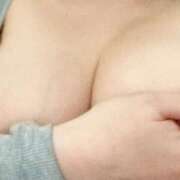 ヒメ日記 2025/12/30 08:53 投稿 つばめ 花夫人