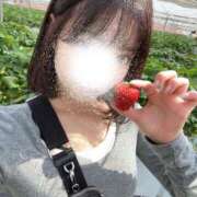 ヒメ日記 2026/04/01 22:35 投稿 ちあき ルピナス