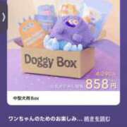 ヒメ日記 2025/10/13 00:49 投稿 藤堂 かのん ホットアロマ