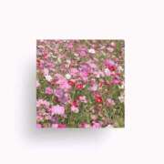 ヒメ日記 2025/10/22 08:02 投稿 Mashiro【ましろ】 Club Lumine(中津)