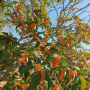 ヒメ日記 2025/11/08 17:02 投稿 Mashiro【ましろ】 Club Lumine(中津)