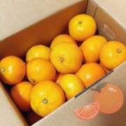 ヒメ日記 2025/11/14 12:16 投稿 Mashiro【ましろ】 Club Lumine(中津)