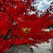 ヒメ日記 2025/11/19 18:52 投稿 Mashiro【ましろ】 Club Lumine(中津)