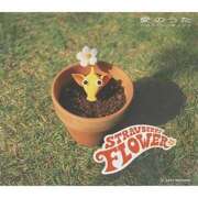 ヒメ日記 2025/12/02 09:53 投稿 Mashiro【ましろ】 Club Lumine(中津)