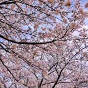 ヒメ日記 2026/02/26 00:26 投稿 Mashiro【ましろ】 Club Lumine(中津)