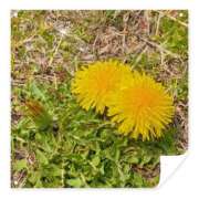 ヒメ日記 2026/03/29 19:43 投稿 Mashiro【ましろ】 Club Lumine(中津)